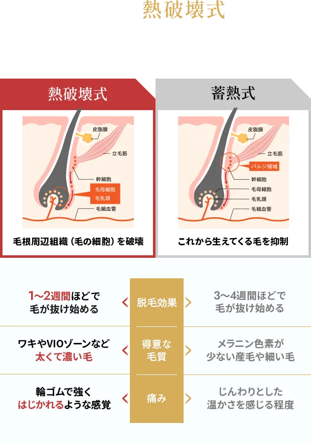 カノアでは熱破壊式の最上位モデルを使用!