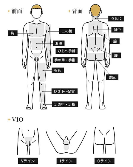 全身＋VIO（うなじ・指先含む）都度払い48,200円(税込)