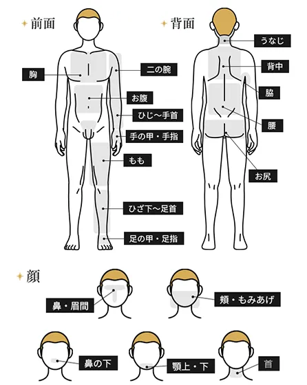 全身＋顔（うなじ・指先含む）都度払い50,680円(税込)