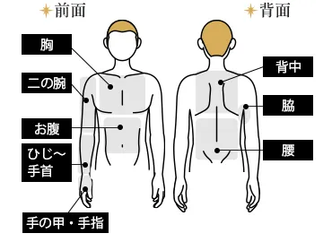 上半身（指先含む）都度払い21,170円(税込)