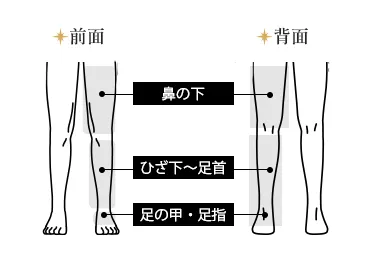 足セット（指先含む）都度払い21,170円(税込)