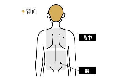 背中・腰都度払い14,020円(税込)